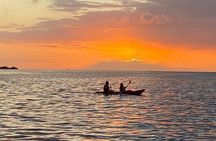Fajardo Bio Bay Guided Kayak Tour