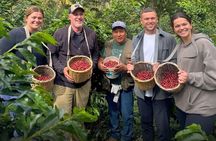 2 Day Coffee Route Tour from Cusco Private Service
