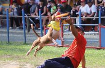 PANACA Passport Admission to Agricultural Theme Park