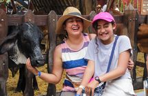 PANACA Passport Admission to Agricultural Theme Park