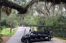 Historic Golf Cart Tour in Beaufort, SC