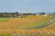 [Private] Anseong Farmland Flower Festival & Golden Buddha Temple