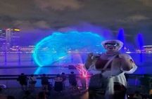Singapore River Cruise with Spectra & Garden Rhapsody Light Show
