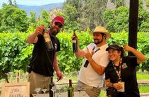 Maipo Valley Wine Tour: 4 Wineries, Great Views, Fun Tastings