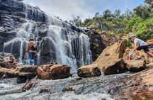 Nature Wildlife Grampians Hiking Day Tour