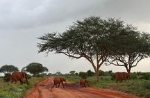 Elky 3 Days Amboseli and Tsavo East Safari
