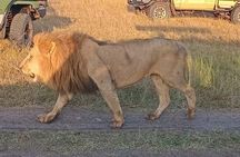 Elky 3 Days Amboseli and Tsavo East Safari