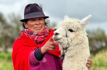 Cotopaxi and Quilotoa 2-Day 1-Night departures everyday