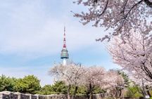 Full-Day Customizable Seoul Private Tour (Opt Layover from ICN)