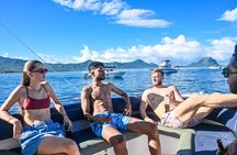 Swimming with dolphin including snorkeling activity