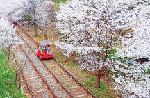 Flexible Seoul Surroundings Private Tour(DMZ, Nami Island, Suwon)