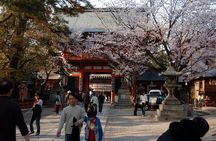 Kyoto Gion Night Walk & Geisha District Guided Tour