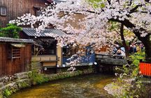 Kyoto Gion Night Walk & Geisha District Guided Tour