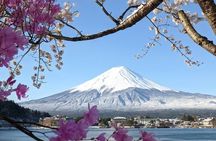 Mount Fuji Sightseeing in Private Car
