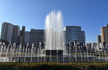 History of Hiroshima Private Walking Tour