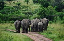 Kigali to Kayonza Akagera National Park 4WD Tour