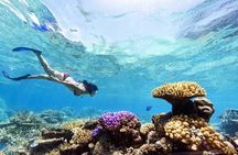 Sharm El Sheikh Desert Safari with Seafood Dinner & Stargazing