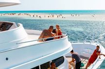 Sharm El Sheikh Desert Safari with Seafood Dinner & Stargazing