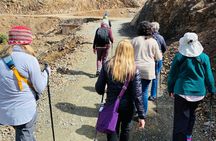Atlas Mountain : Imlil Day Tour with Guide, camel ride and Lunch