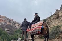 Atlas Mountain : Imlil Day Tour with Guide, camel ride and Lunch