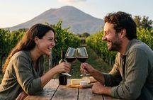 Pompei & Wine Tasting Experience from Naples