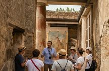 Pompei & Wine Tasting Experience from Naples