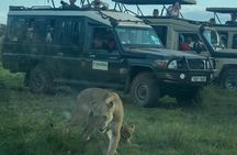 3 Days Maasai Mara Shared Tour with Private Accommodation