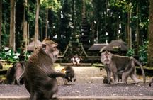 Bali Customizable Full-Day Private Tour.