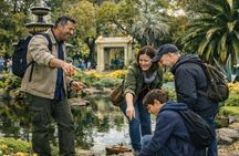 Private Melbourne Tour with a Local: Custom Highlights & Gems