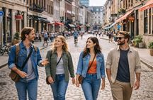 Private Half-Day Montreal Tour with a Local, Personalized