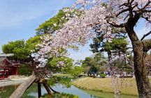 Uji Tea Ceremony and UNESCO Heritage Walking Tour