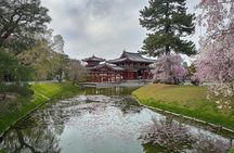 Uji Tea Ceremony and UNESCO Heritage Walking Tour