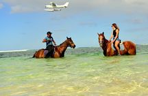Exclusive 1 Hour Coastal Horse Ride at Bel Ombre Beach