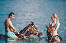 Exclusive 1 Hour Coastal Horse Ride at Bel Ombre Beach