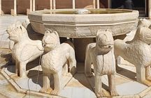 Private Tour of the Alhambra