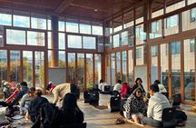 Seoul Market Crawl: Herbal Wellness, Food & Vintage Hunt