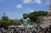Mount Fuji & Cherry Blossoms: Kamakura, Big Buddha and Lake Ashi