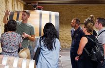 Morning Wine Tour to Chateauneuf du Pape from Avignon