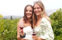 Morning Wine Tour to Chateauneuf du Pape from Avignon