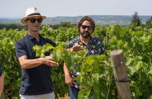 Afternoon Wine Tour to Chateauneuf du Pape from Avignon