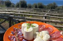 Ristolab Villa Puolo The Taste of Sorrento