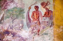 Naples to Pompeii with tickets, Sorrento and Positano photo stop