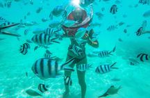 Adventure Undersea Walk Parasailing and Tube Riding with Transfer