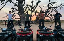 Quad tour of Somone Lagoon and Baobab Spider