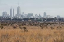 Nairobi National Park Half Day Guided Tour Tour with Free WiFi