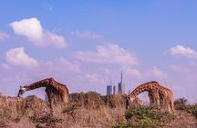 Nairobi National Park Half Day Guided Tour Tour with Free WiFi