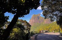 Tijuca Forest: Waterfall Trail and Immersion in Nature
