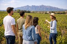 Montserrat,Vineyard, Wine Tasting Small Group Tour & Hotel Pickup