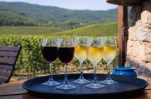 Montserrat,Vineyard, Wine Tasting Small Group Tour & Hotel Pickup