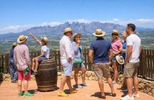 Montserrat,Vineyard, Wine Tasting Small Group Tour & Hotel Pickup